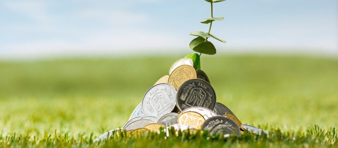 Plant growing in coins on green grass. Saving and investment financial concept