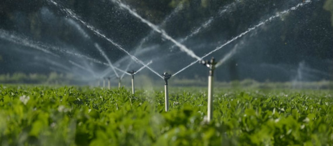 11_10_Irrigação
