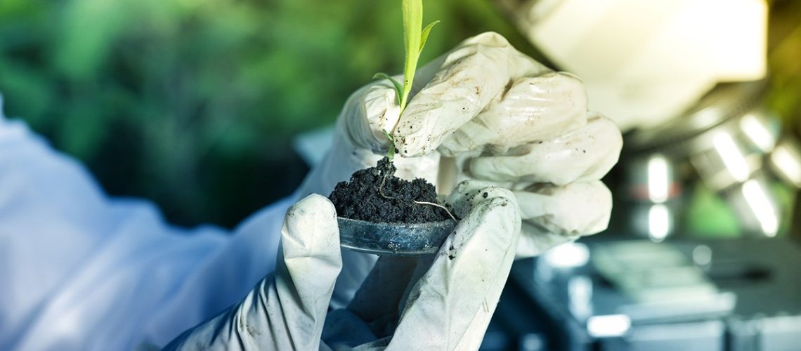 17-08-2020_Saiba-como-a-biotecnologia-esta-transformando-as-culturas-de-soja-e-milho