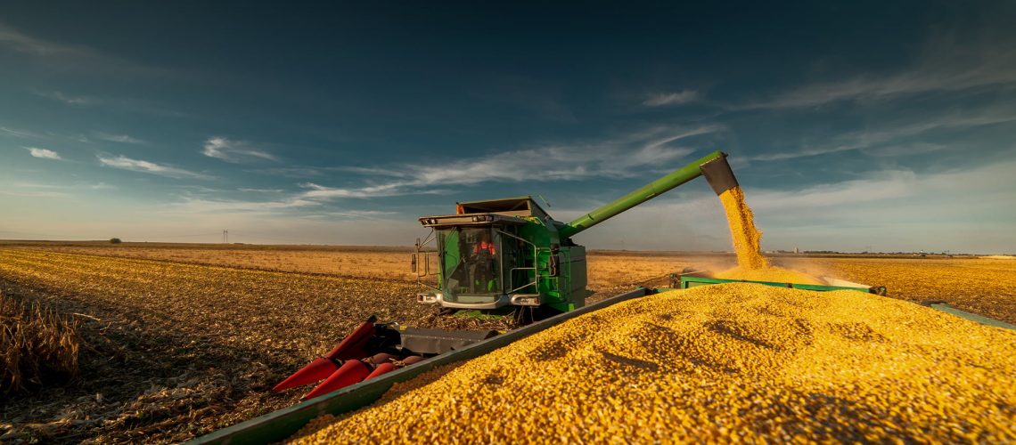 19-07_colheita-milho_3