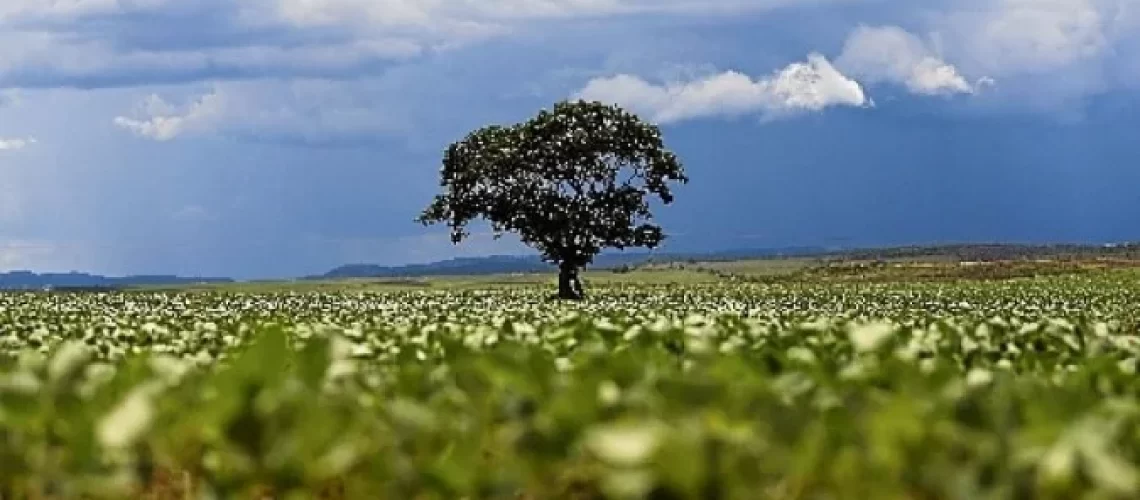 1_pri_1508_0601_a_24_cor_g-6230997