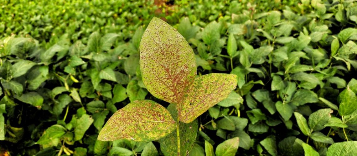 23104329_2214899_GDO