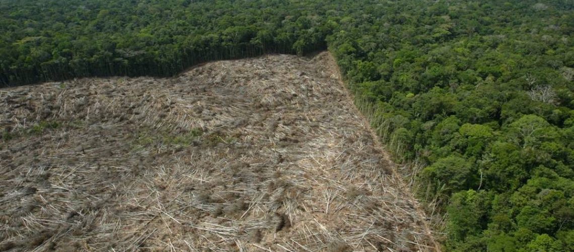 38969373_0910.2003Custodio-CoimbraECEXCLUSIVOPetroleo-na-Amazoniaprovincia-petrol