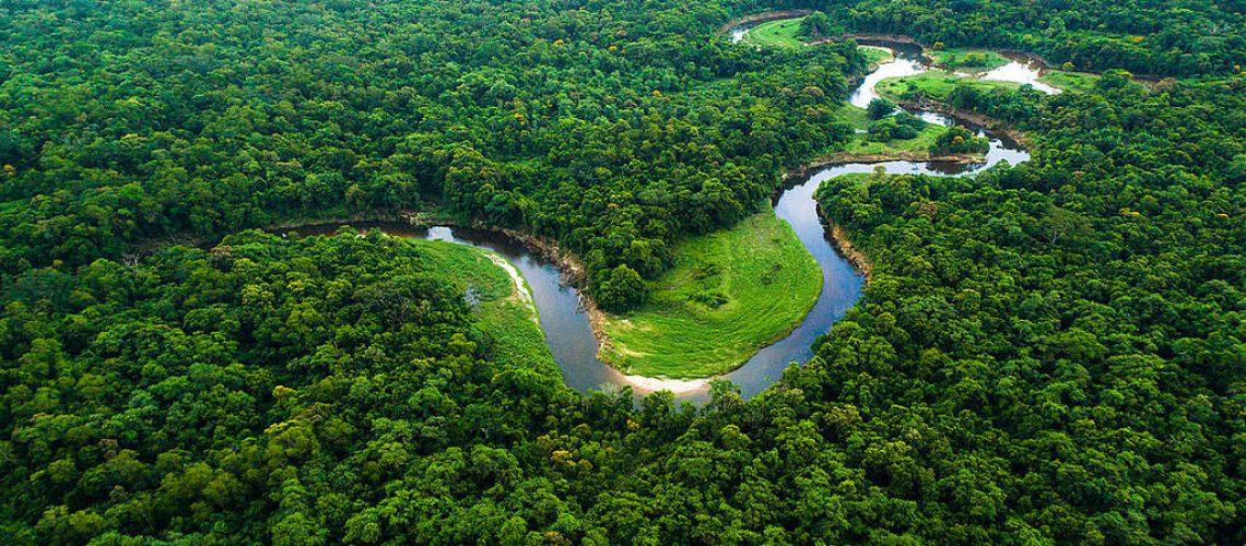 5b07ea98-floresta-amazonica-1024x682