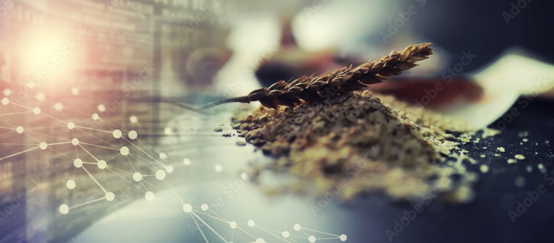 AdobeStock_551143979_Preview