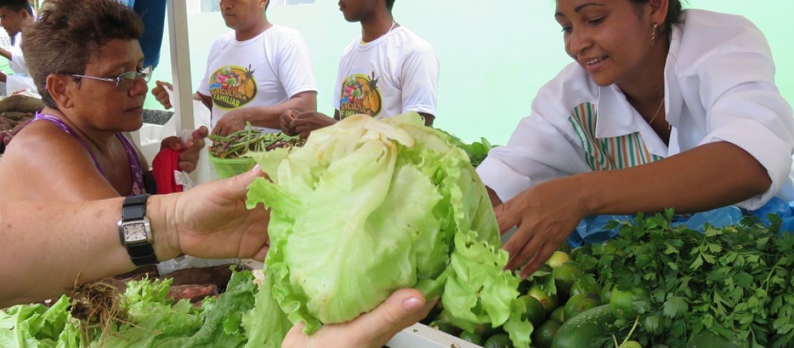 Agricultores-familiares-maranhenses-tem-recursos-garantidos-à-comercialização