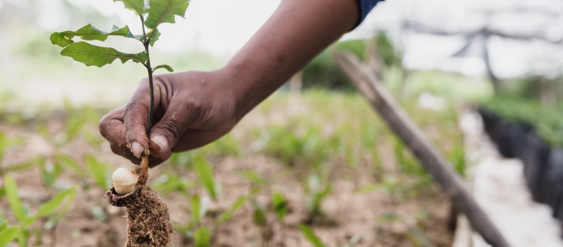 Agro sustentável como traçar um plano de sustentabilidade na sua produção (1)