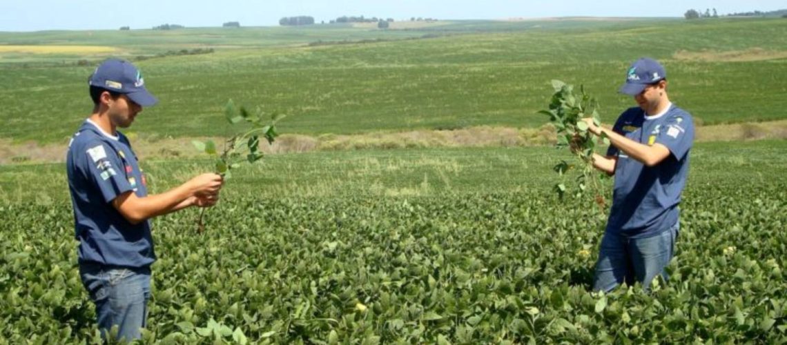 AgroGalaxy