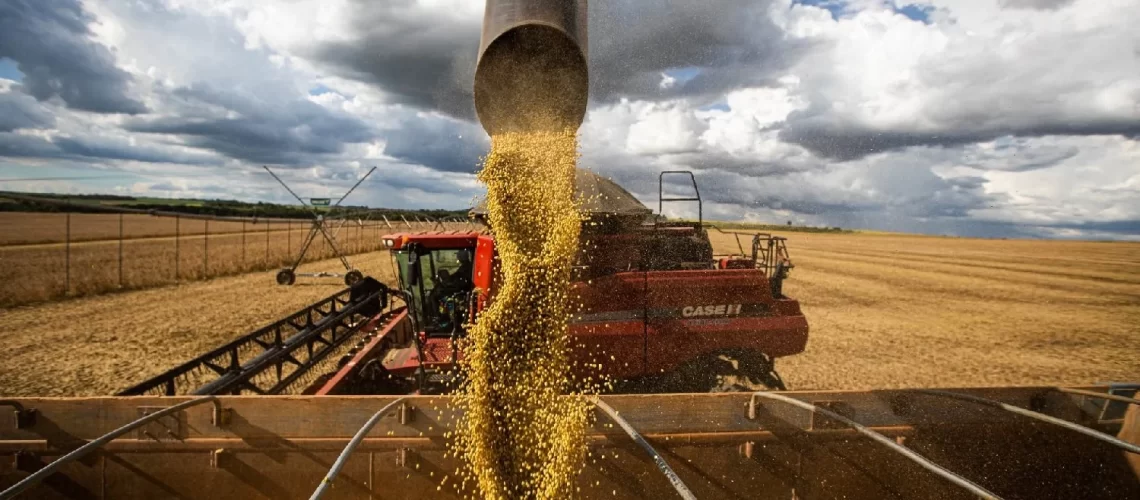 Agro_Colheita-de-soja-do-Brasil-atinge-44-da-area-com-avanco-em-GO-e-MS-diz-AgRural