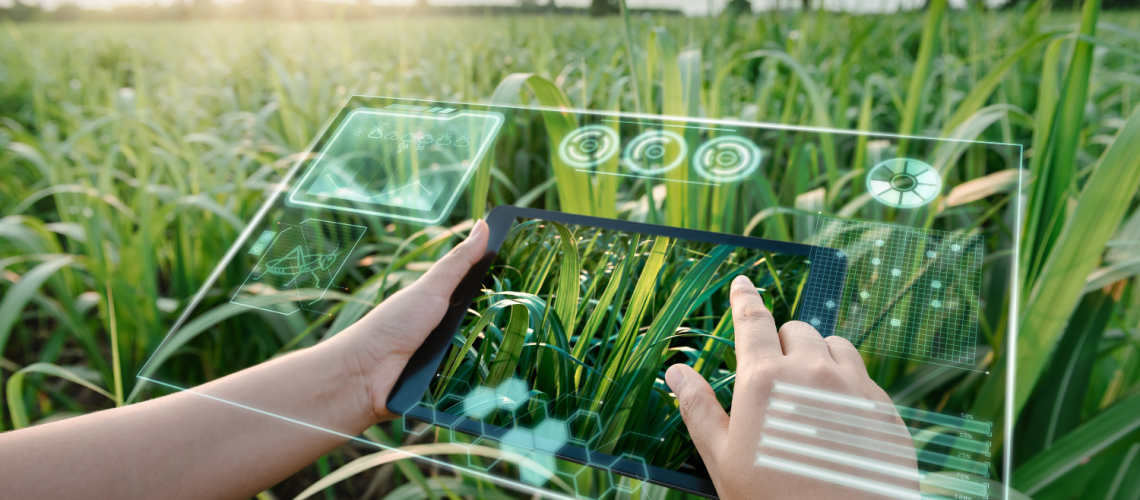 Agro_IAGenerativa_Biotecnologia_Agroindustria01nov24_Getty_KDP