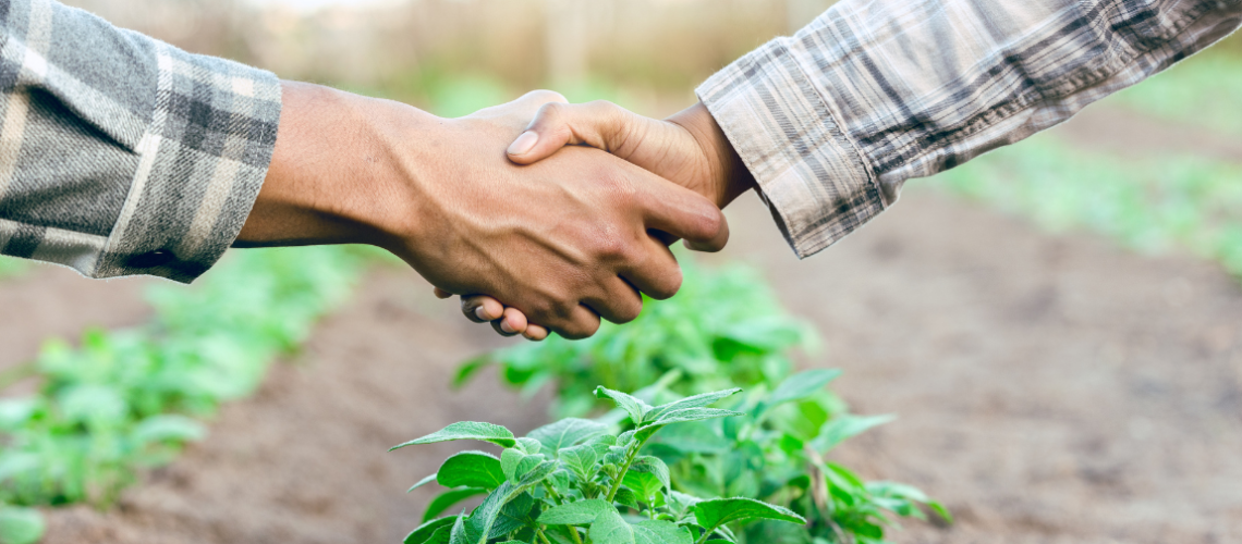 Apertodemosnaplantaodesoja