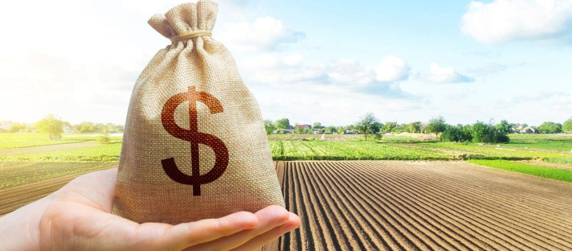 Blog-AgriQ_Credito-rural_Creditos-Shutterstock