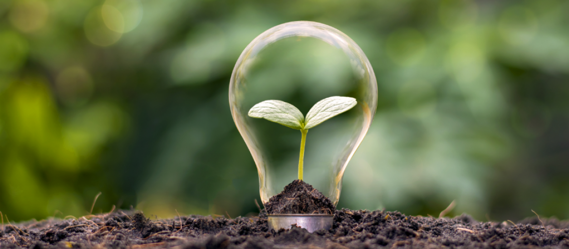 Blog-Sustentabilidade