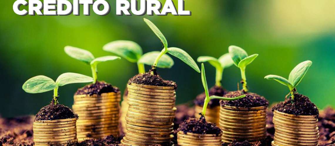 CREDITO-RURAL-SITE-SUCA-1