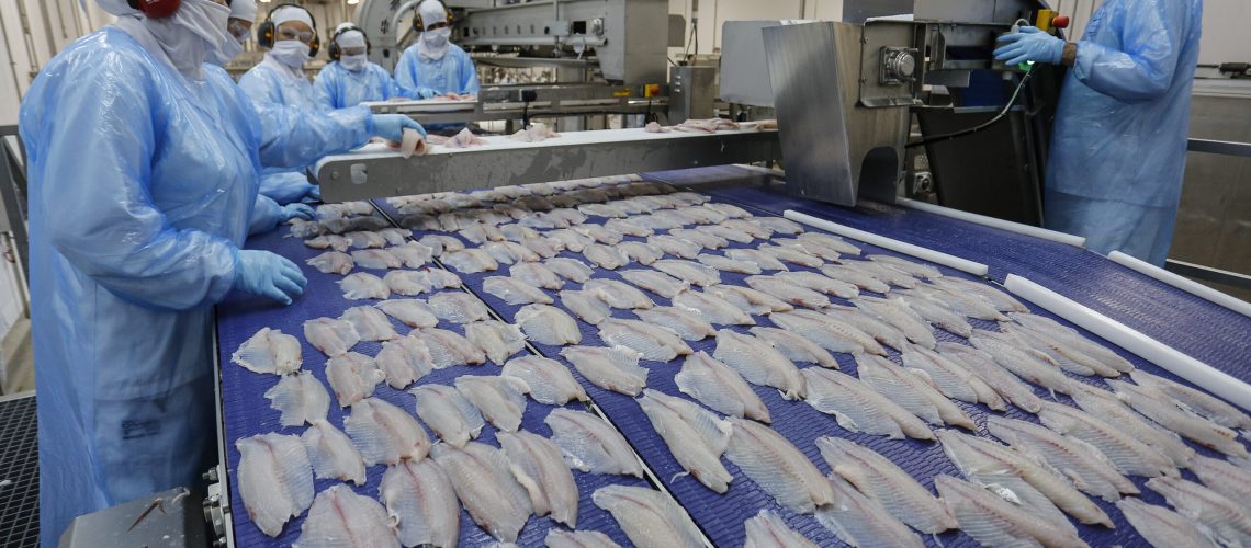 Palotina - 10-10-2020 - Cooperativa C Vale - Industria de Aves e Tilapia  - Foto : Jonathan Campos / AEN