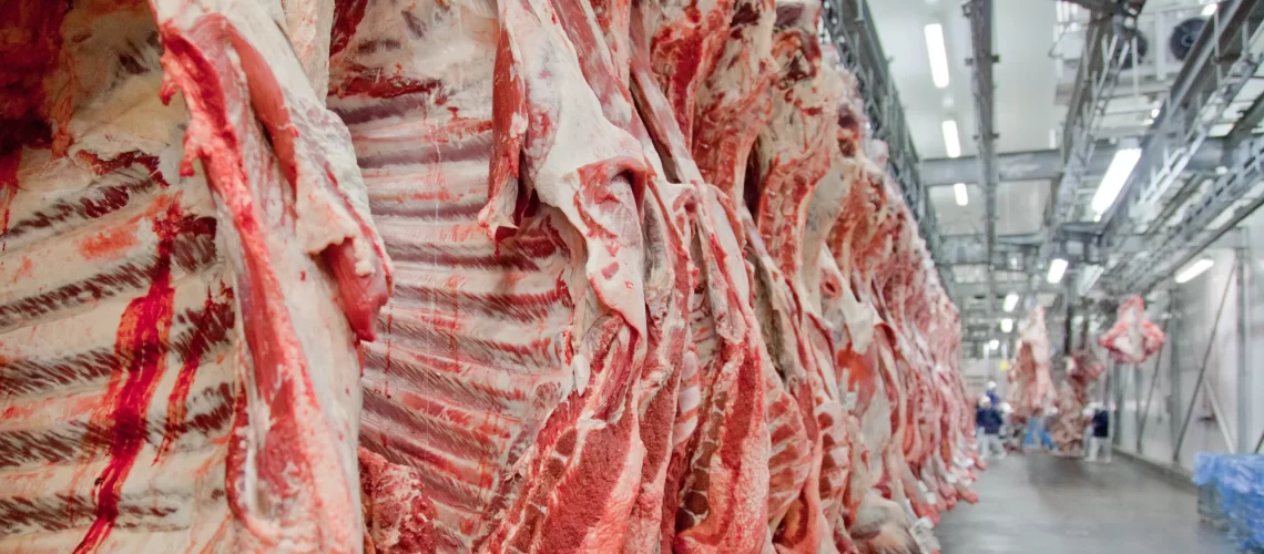 Carne-bovina-e-processada-em-frigorifico-brasileiro-e1630773282141