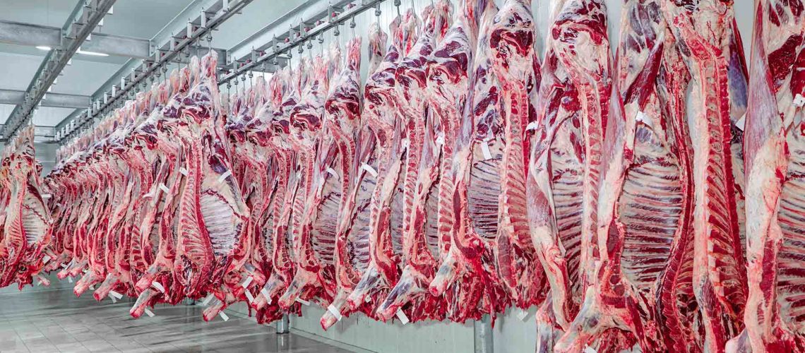 Carne-bovina