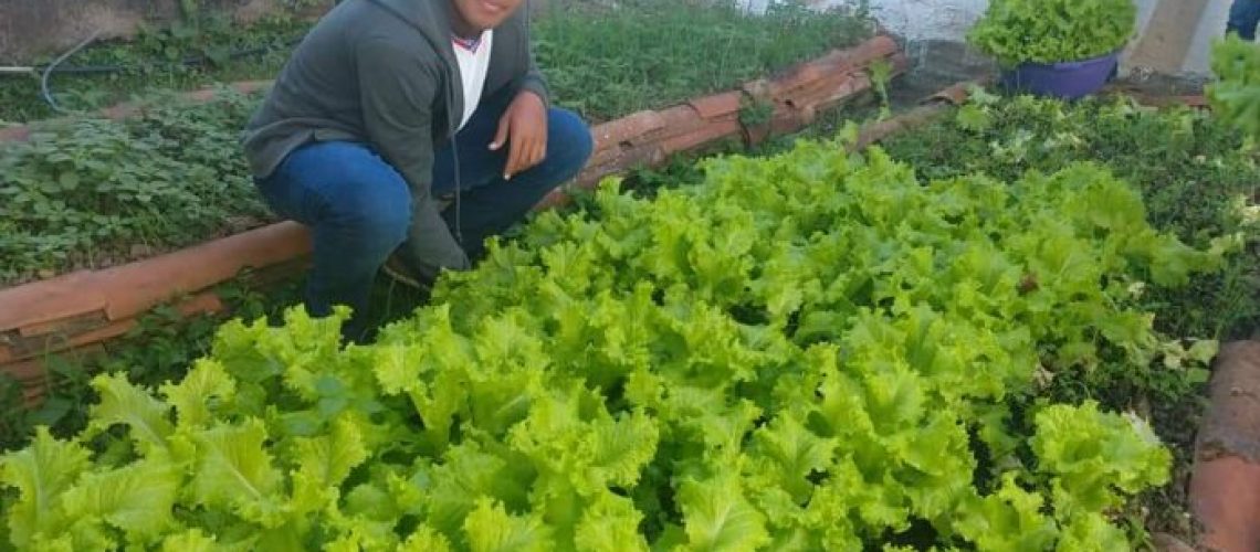 Centro-Educacional-em-Firmino-Alves-doa-frutas-e-hortalicas-cultivadas-em-projeto-agroecologico-para-comunidade-local-696x522