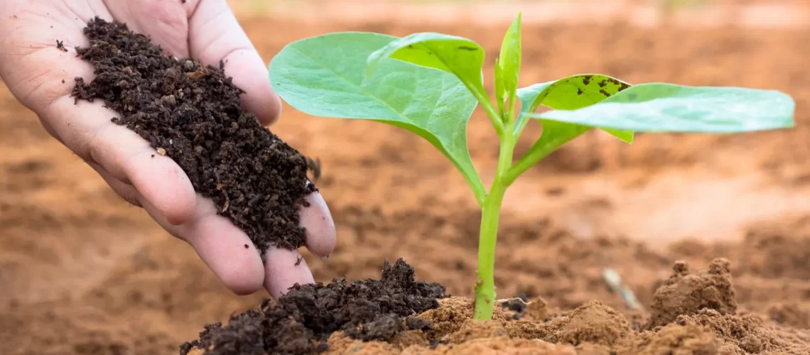 Cresce-o-uso-de-bioinsumos-nas-lavouras-brasileira0309107300202107161552