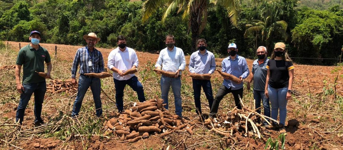 Equipes_da_Seapa_Emater_e_Retomada_acompanham_colheita_da_mandioca_no_Nordeste_goiano