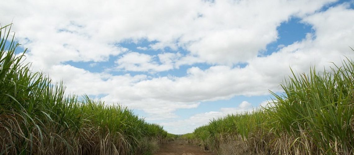 FOTO-CANAVIAL
