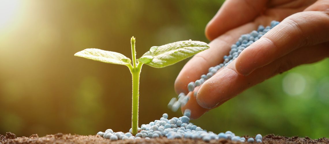 Fertilizantes