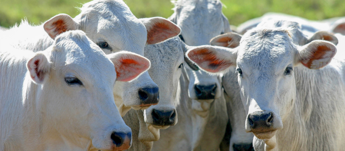 Foto-1440px-x-960px-2022-08-12T122915