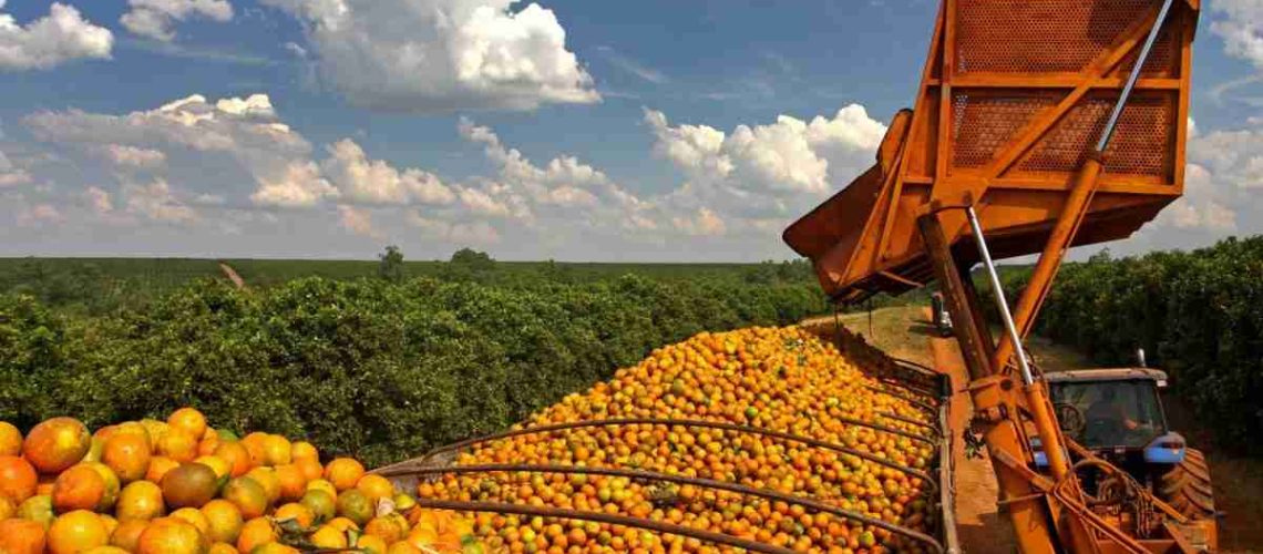 IMG_058-scaled-1-scaled