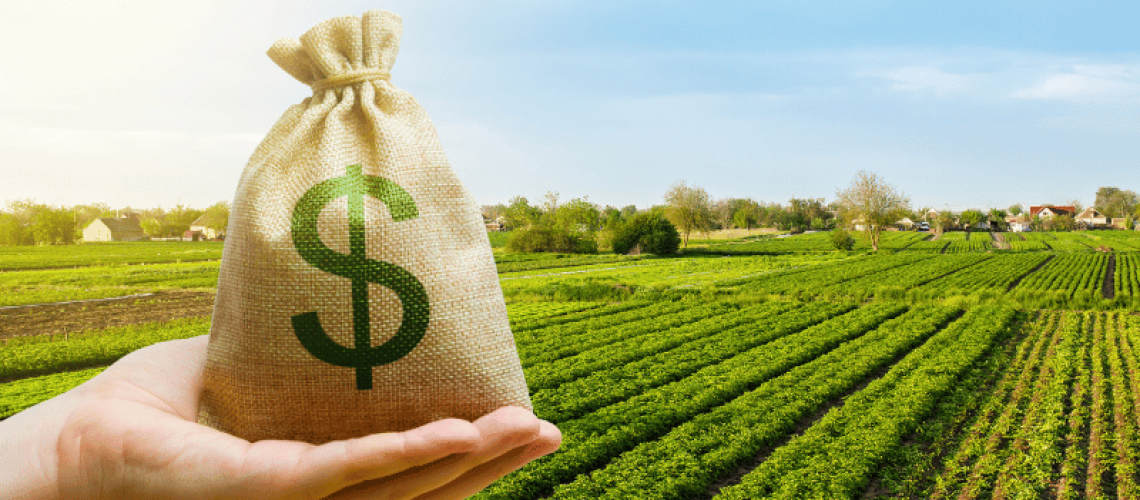 Imagem-2023-11-16T091347.079