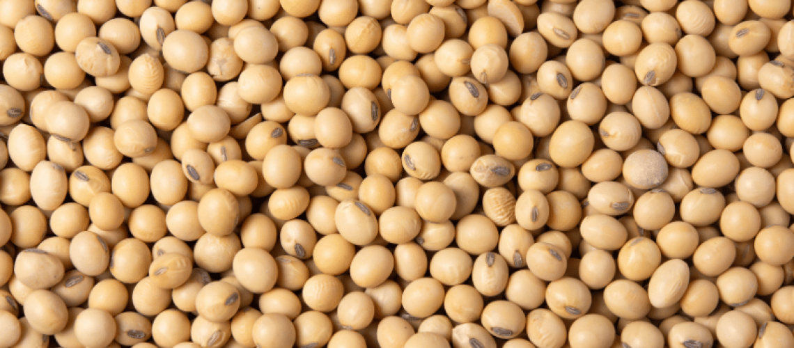 Imagem-2023-11-17T102355.952