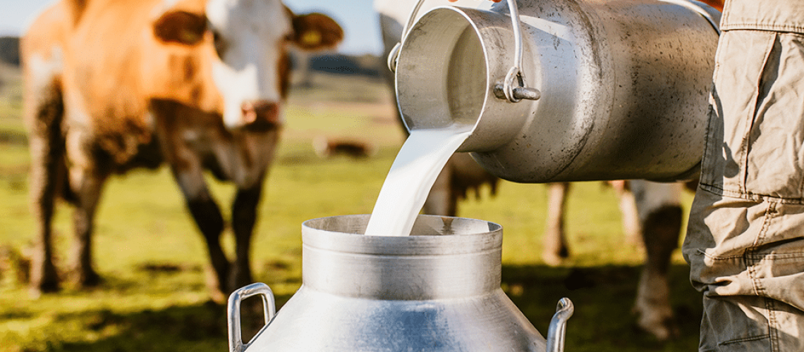 Leite-de-vaca-Conheca-seus-beneficios_leite-de-vaca-conheca-seus-beneficios_thumbnail