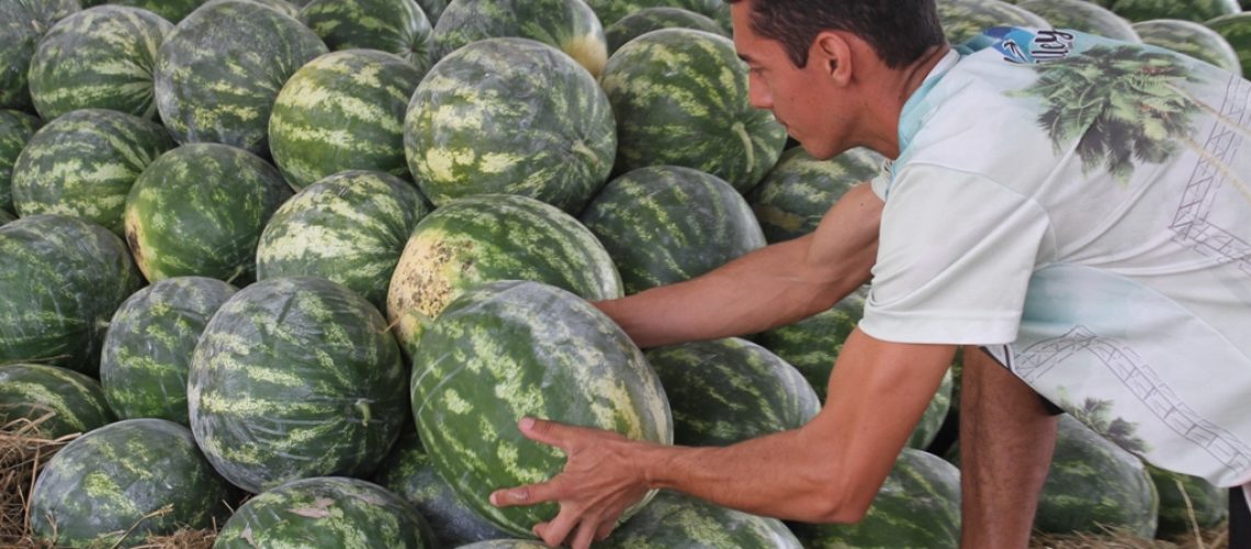 Lucas-Colombo-Festa-da-Melancia-Comunidade-Campo-Mãe-Luzia-Içara-8