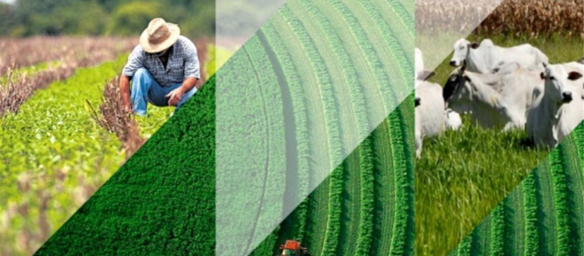 Neves-et-al.-2020-Viviane