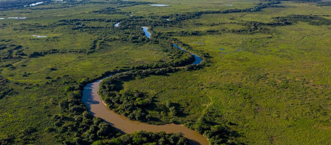 Pantanal drone
