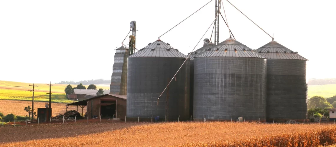 Silo_ Milho