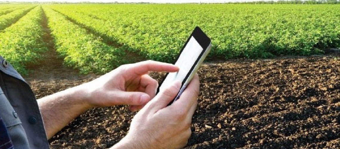 Simpósio-ANIPLA-agricultura-inovação