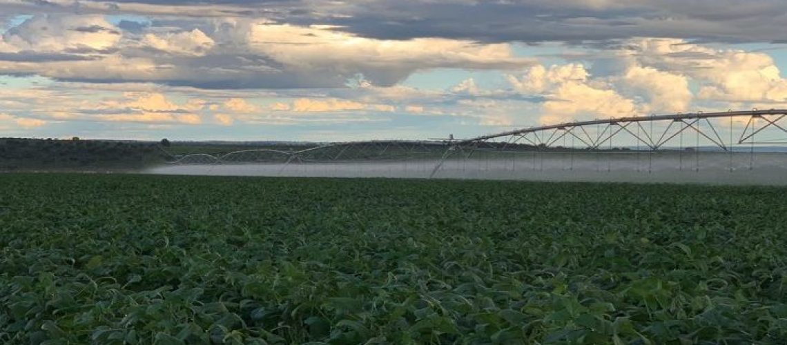 Sistema-de-irrigação-da-Agrogrande-em-Bandeirantes-730x425