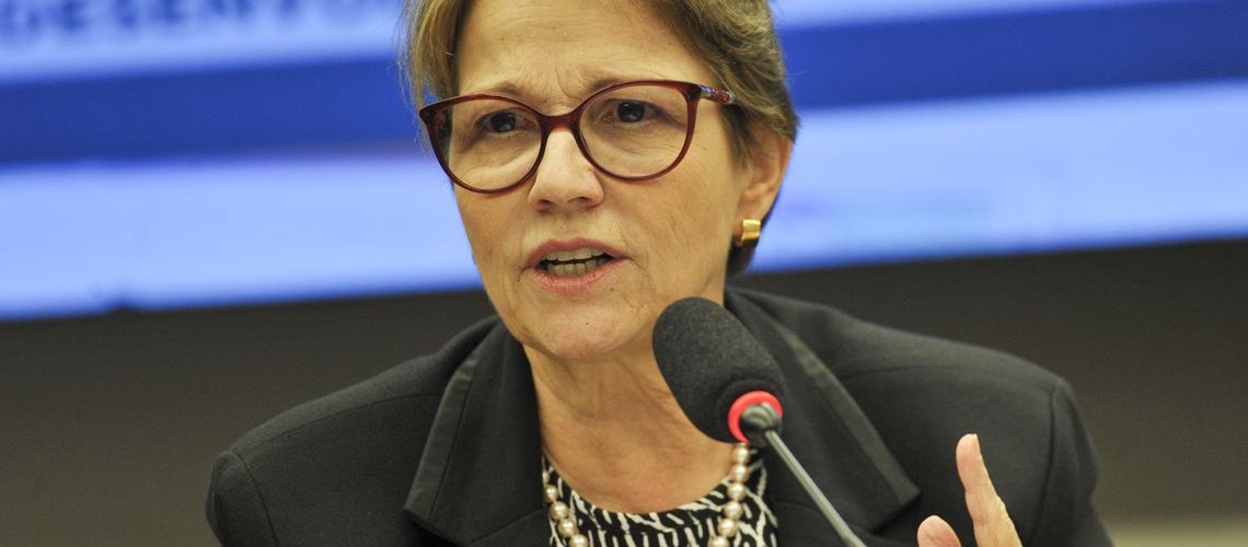 A ministra da Agricultura, Tereza Cristina, participa de audiência pública na Comissão de Agricultura da Câmara dos Deputados.