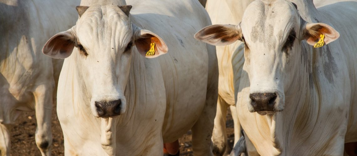 WhatsApp-Image-2024-10-21-at-15.46.51-1