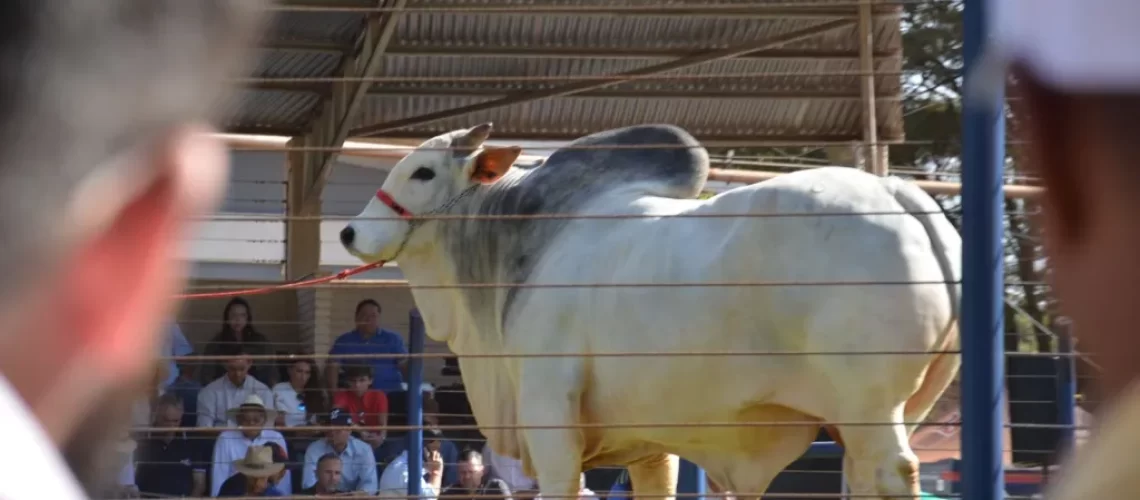 WhatsApp-Image-2025-08-14-at-20.11.55-1