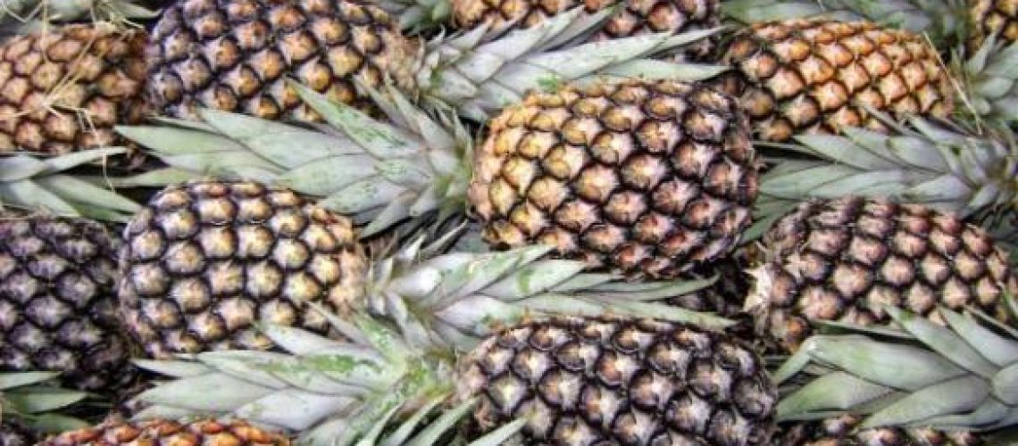 abacaxi