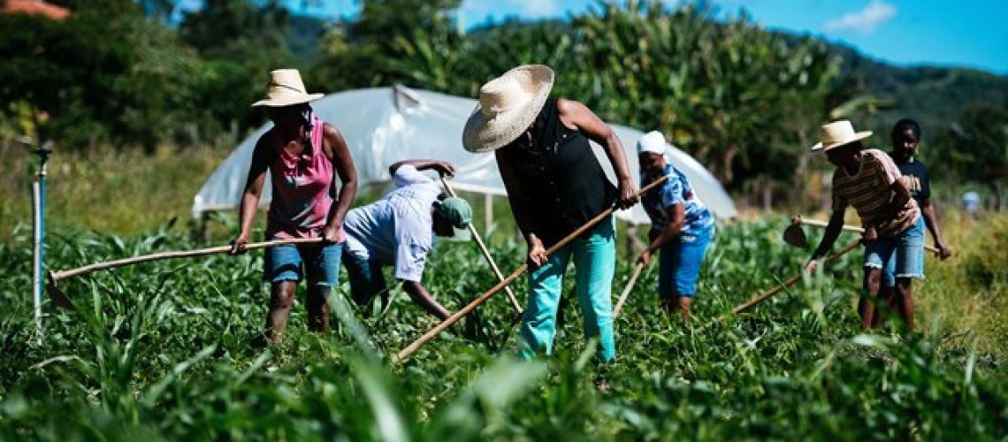 agricultores-familiares