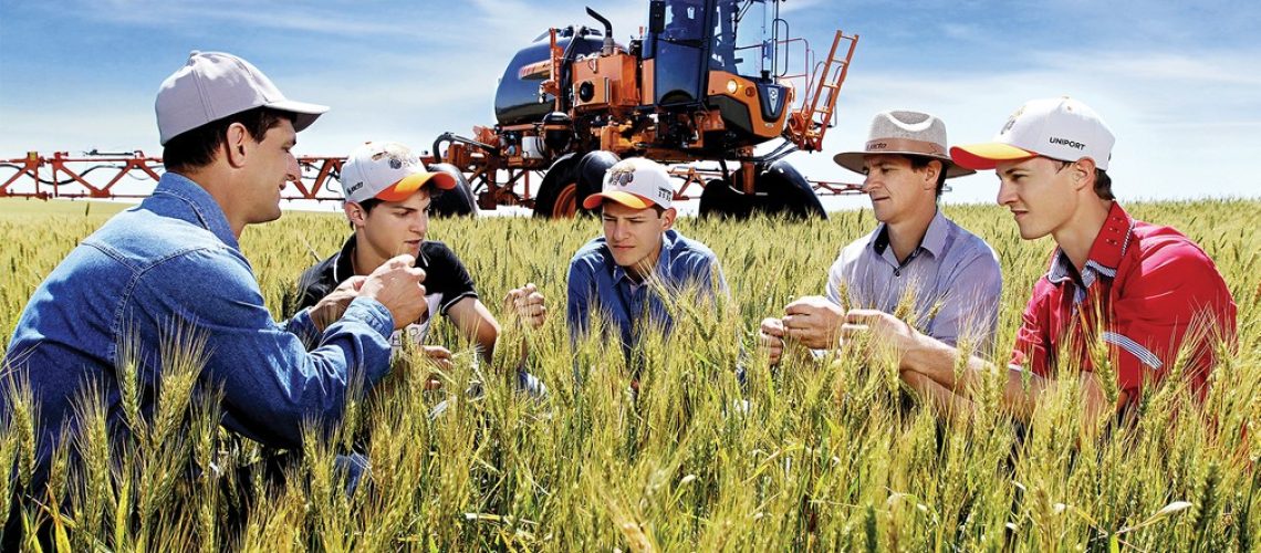 agricultores-no-campo