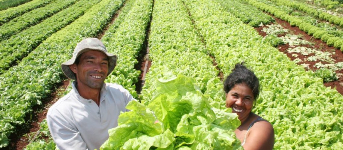agricultores