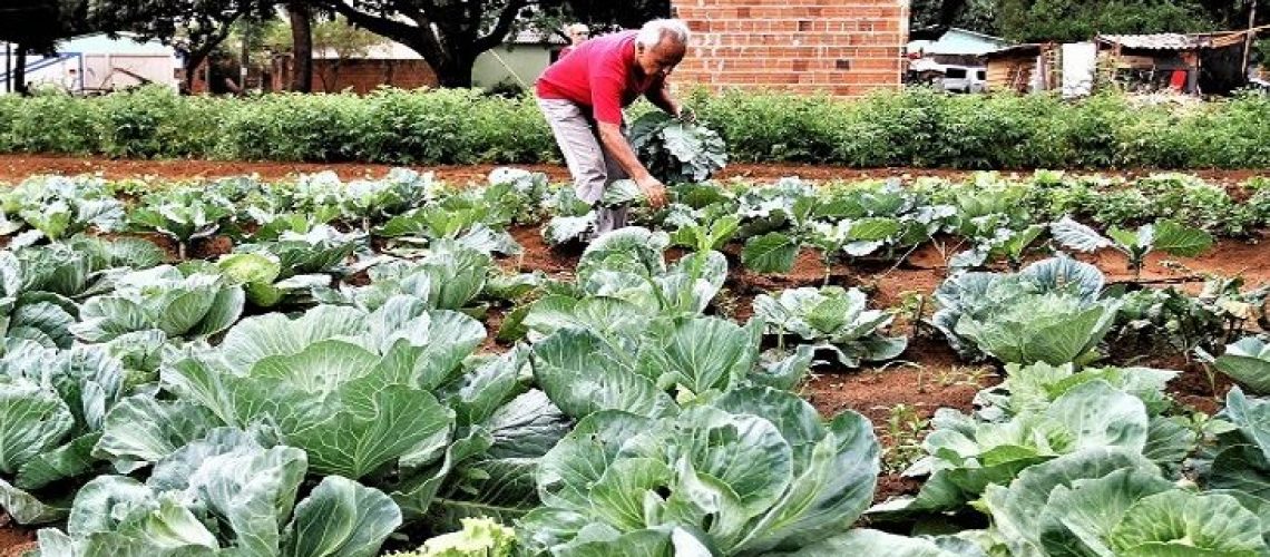 agricultura-familiar-saul-1-730x425