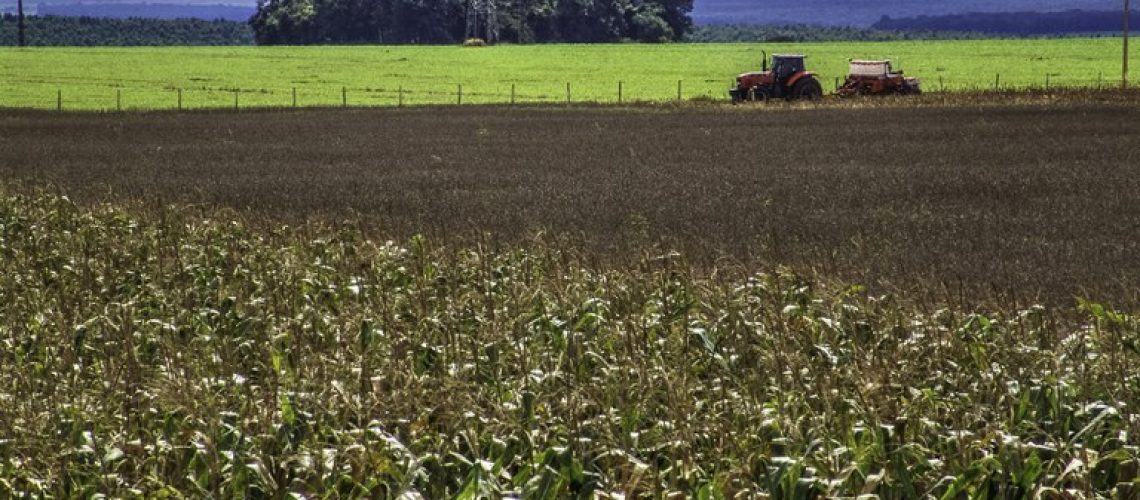 agricultura