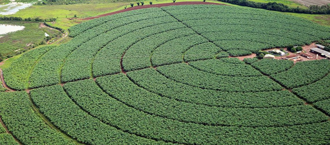 Reservatórios de pivôs centrais de irrigação em Itaí (SP)