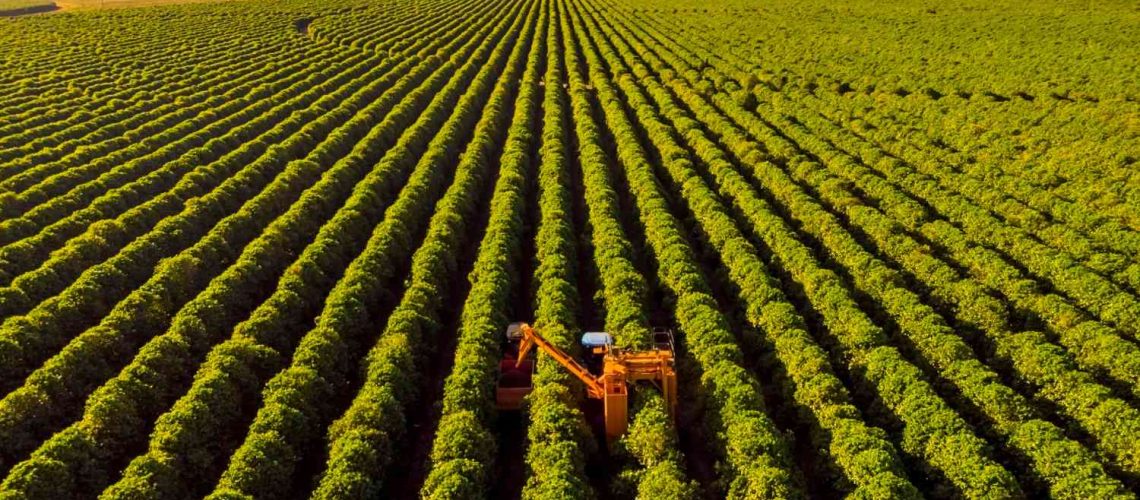 xr:d:DAFp8kC52mw:3,j:7905341218289788121,t:23072820