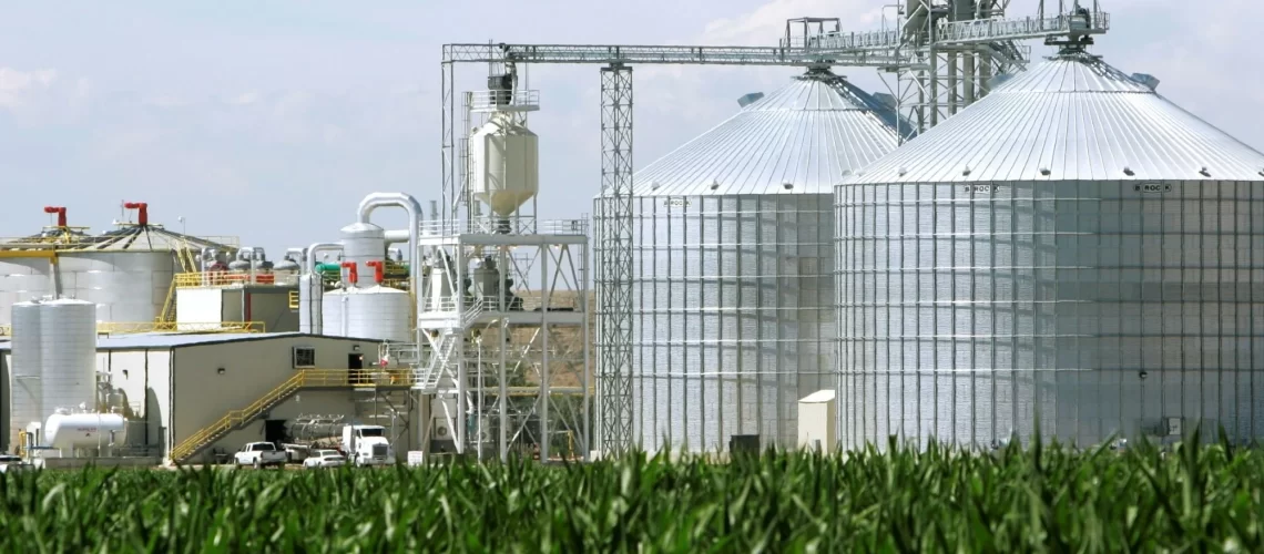 agro_etanol_10junho2021_REUTERSRick-Wilking