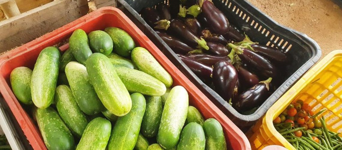 alimentos organicos